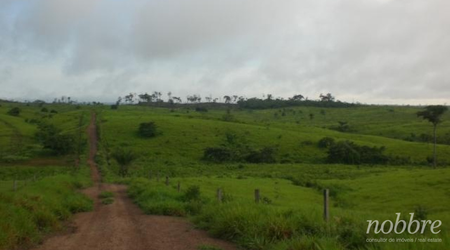 Fazenda para vender no Pará, pecuária.